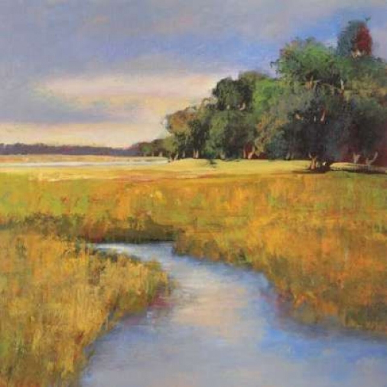 Low Country Landscape II Poster Print by Adam Rogers - Item # VARPDXCC2856